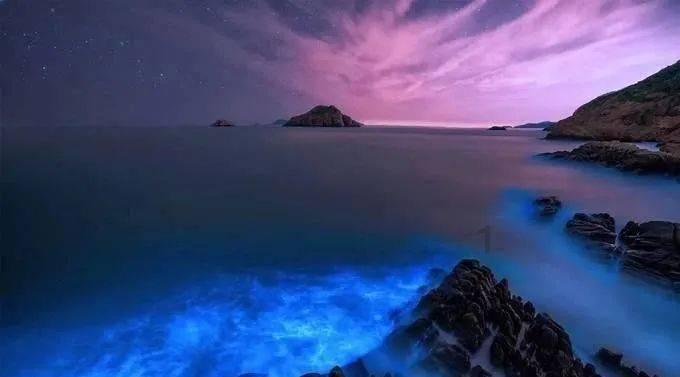 神秘的大海