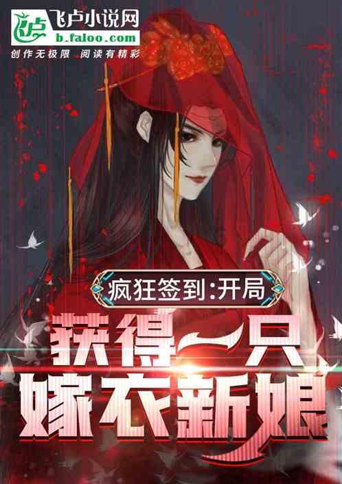 寻找遗失的光盘