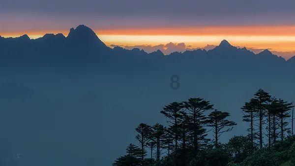 权力与纷争