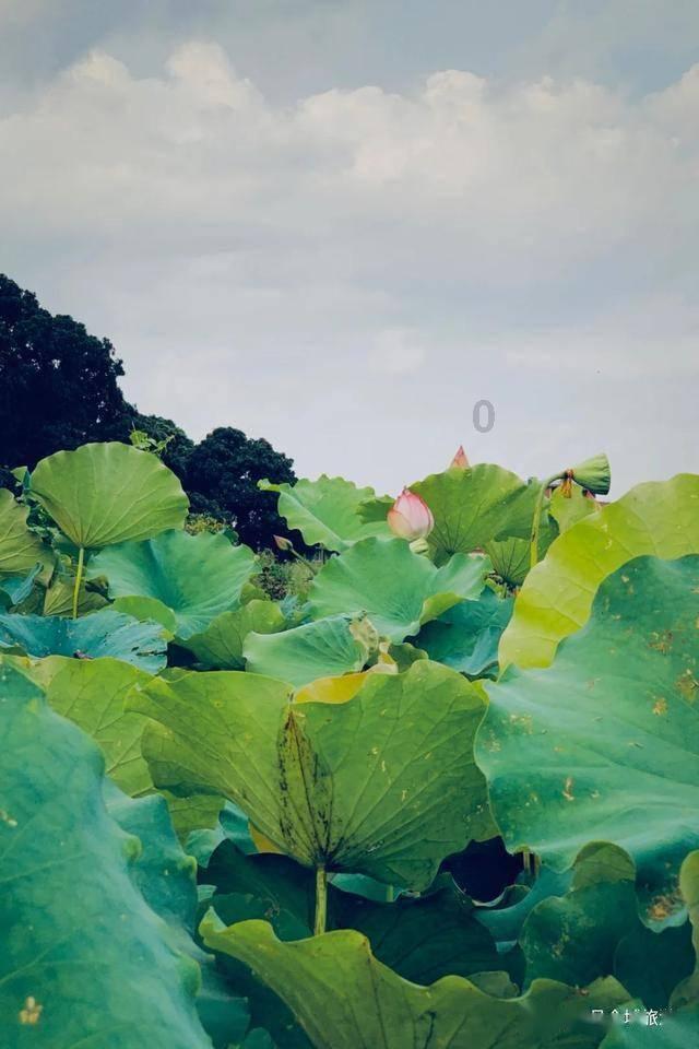 跌不完,根本就跌不完