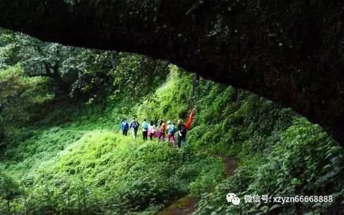 史上最贱小游戏之电动