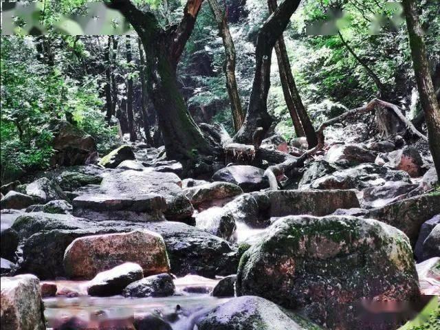 破碎的雕像