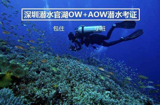 企业拒招聘有纹身的人合理吗？是否涉及到歧视？游戏画面