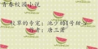 蝙蝠侠内敌