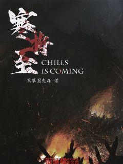 突袭4