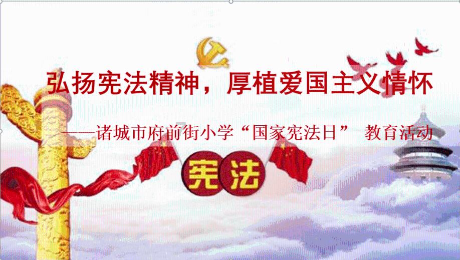 漂亮鹦鹉救援