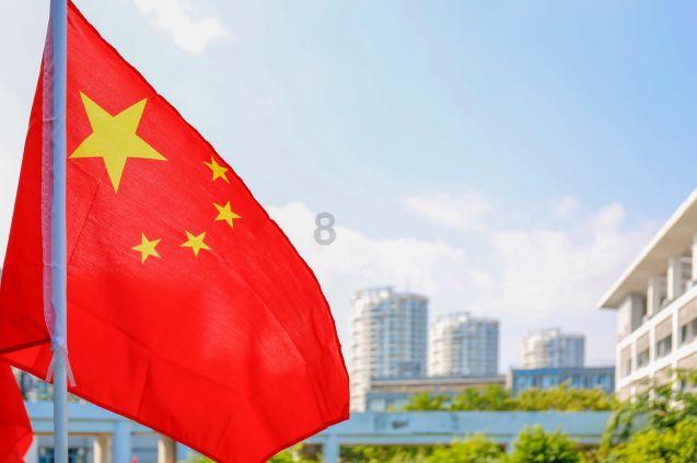 可爱猪救援2