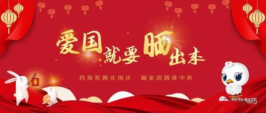 破碎的动物图形3