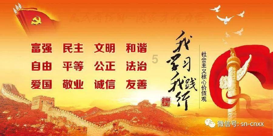 奥日与黑暗森林