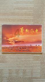 时间教授