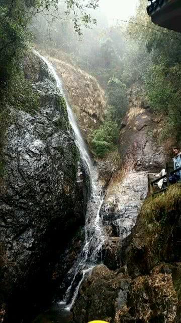 莫雷岛逃脱