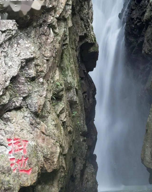 全民剧本大师内置菜单