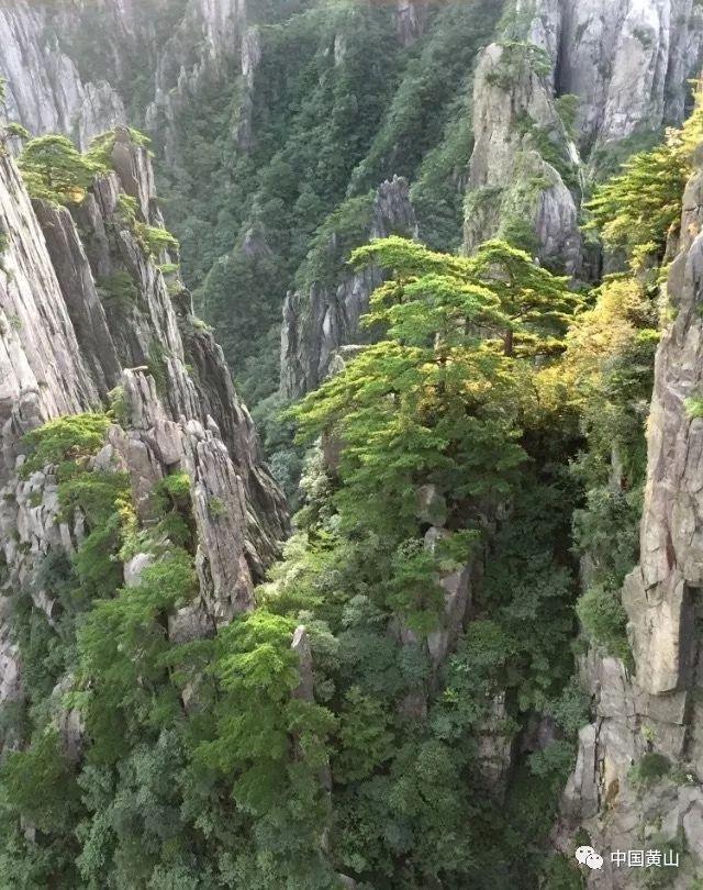 win7旗舰版一直卡在欢迎界面游戏画面