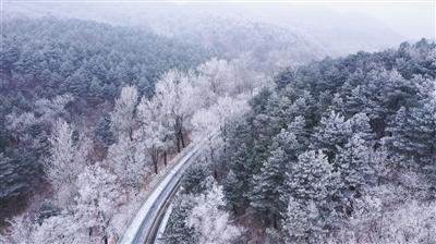 逃离遗弃的建筑3